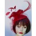 Red Feather/Net Fascinator